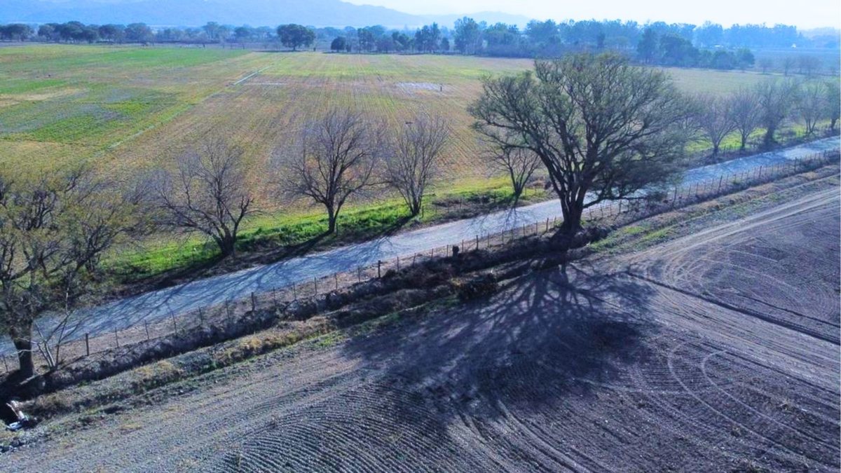 CAMPO VENTA FINCA EL TIPAL RP 76 CHICOANA - foto 3