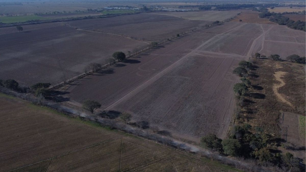 CAMPO VENTA FINCA EL TIPAL RP 76 CHICOANA - foto 12