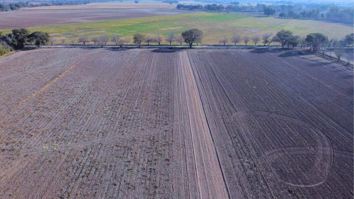 CAMPO VENTA FINCA EL TIPAL RP 76 CHICOANA - foto 4