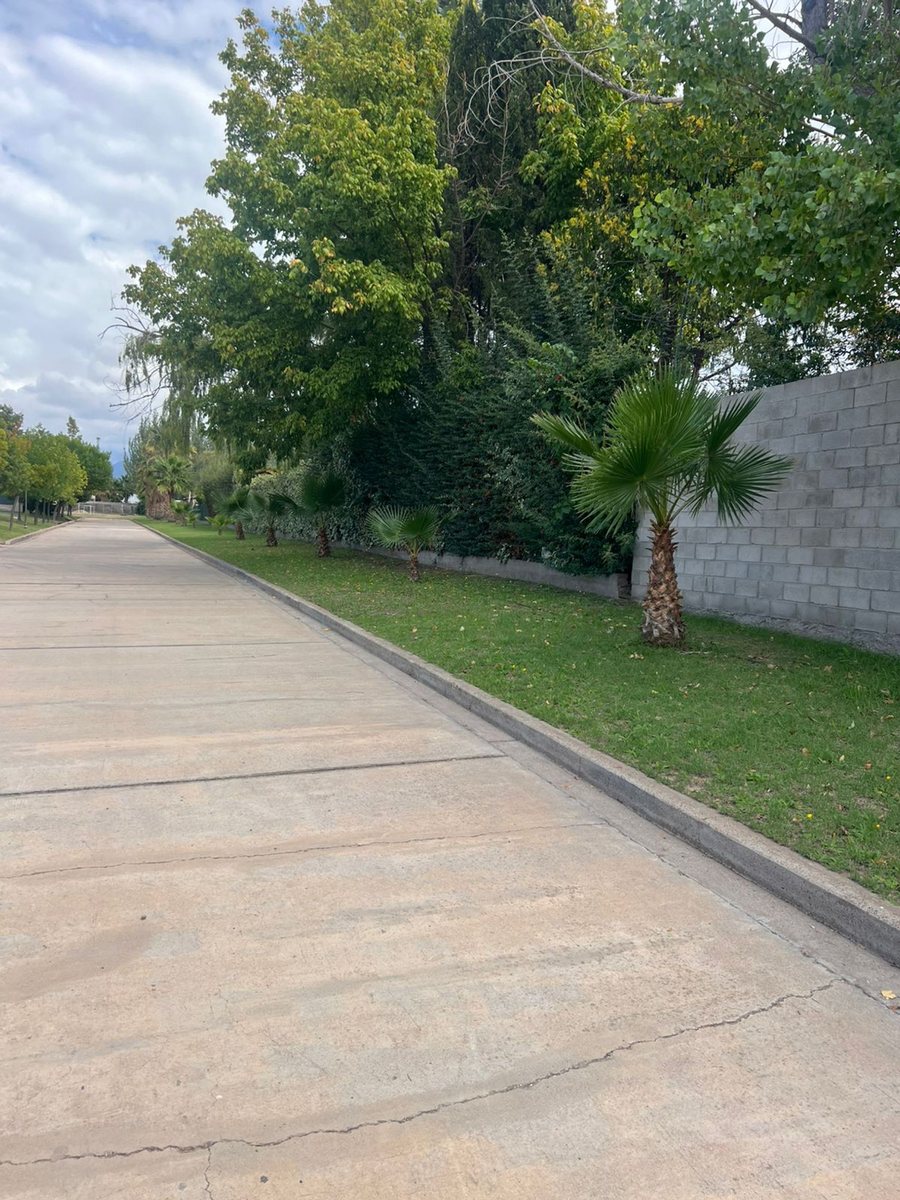 Imagen 11