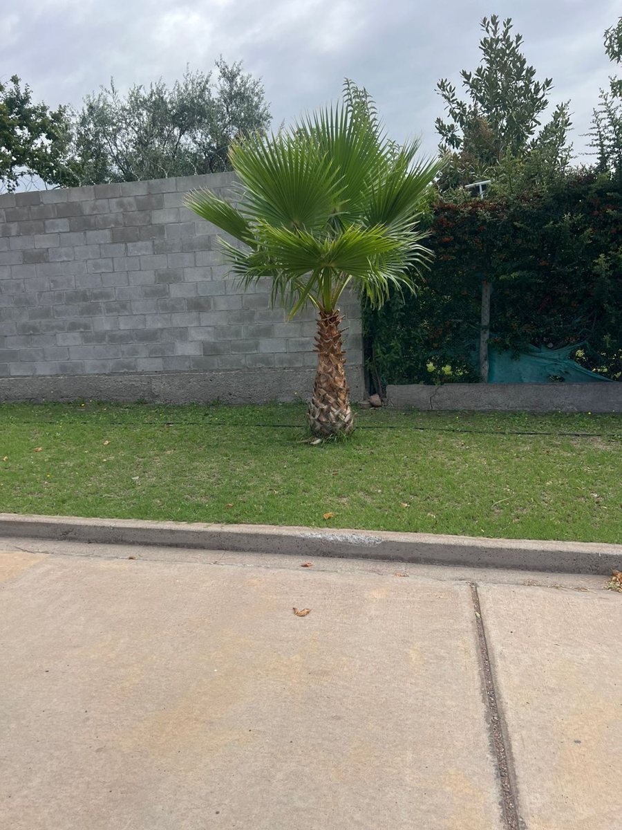 Imagen 5