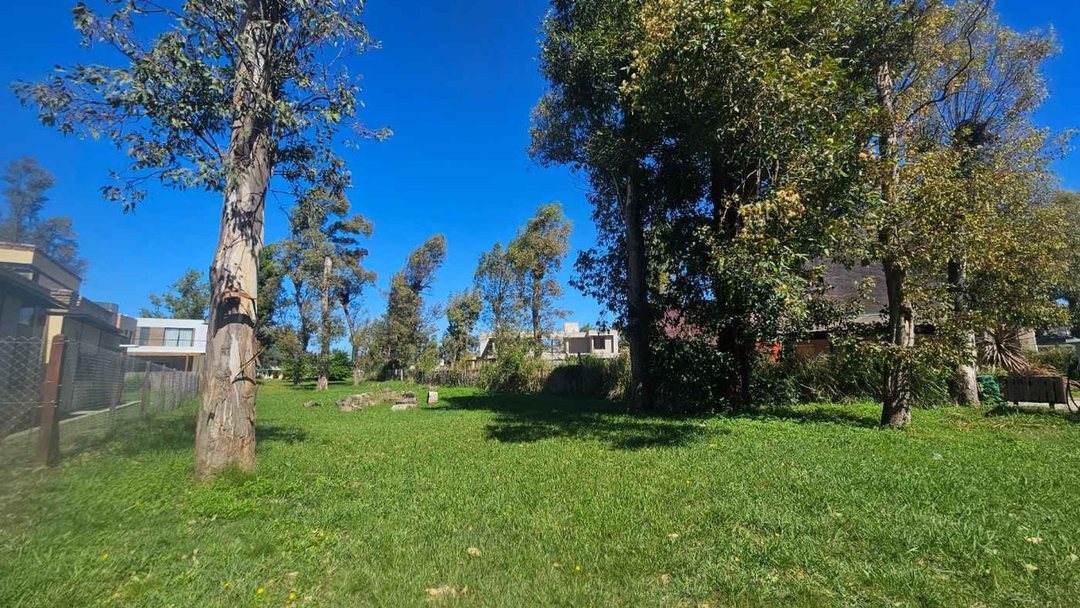 LOTE CENTRAL 600M2 EN ALVAREZ DEL BOSQUE MORENO