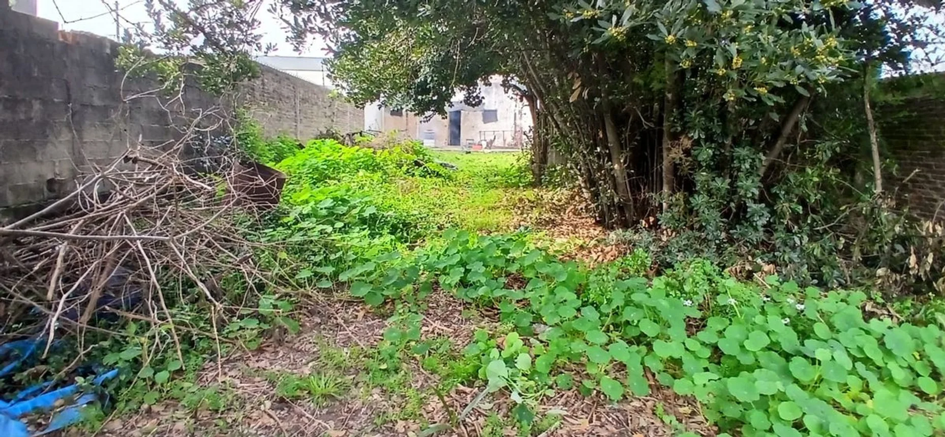 Casa de 3 ambientes en venta en Berazategui, Calle 141 800, foto 5