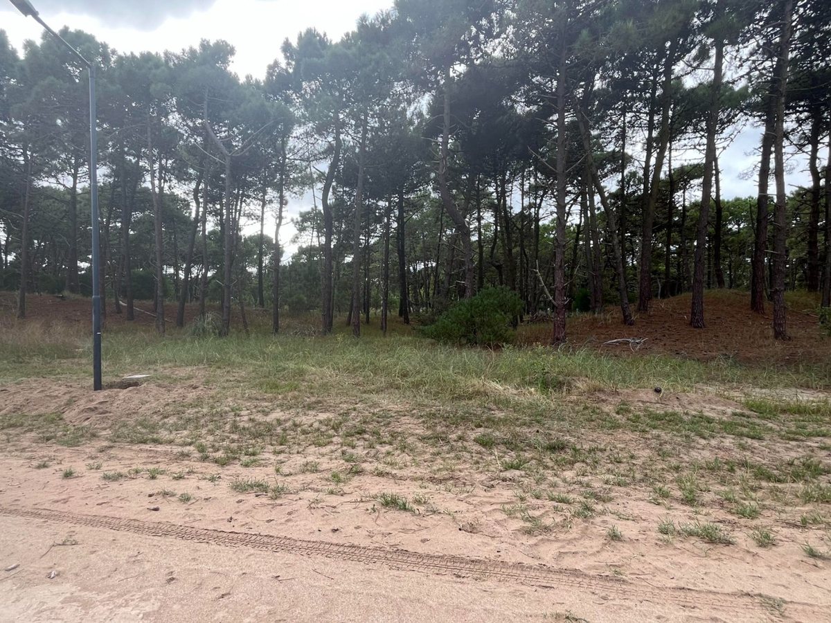 Foto 10 — VENTA DE LOTE EN PINAMAR. BARRIO BOSQUES ETAPA 1