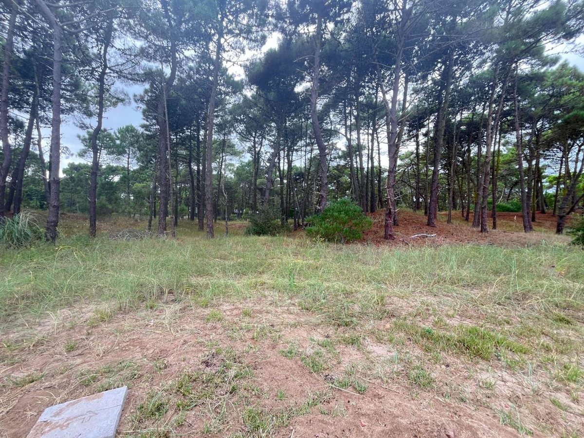 Foto 9 — VENTA DE LOTE EN PINAMAR. BARRIO BOSQUES ETAPA 1