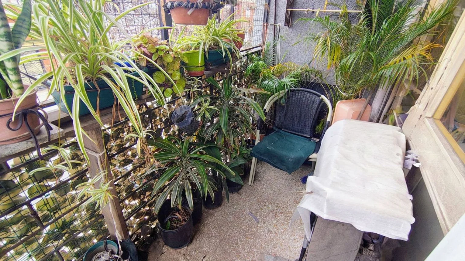 PH de 3 ambientes en venta en Monte Castro, Álvarez Jonte 5700, foto 5
