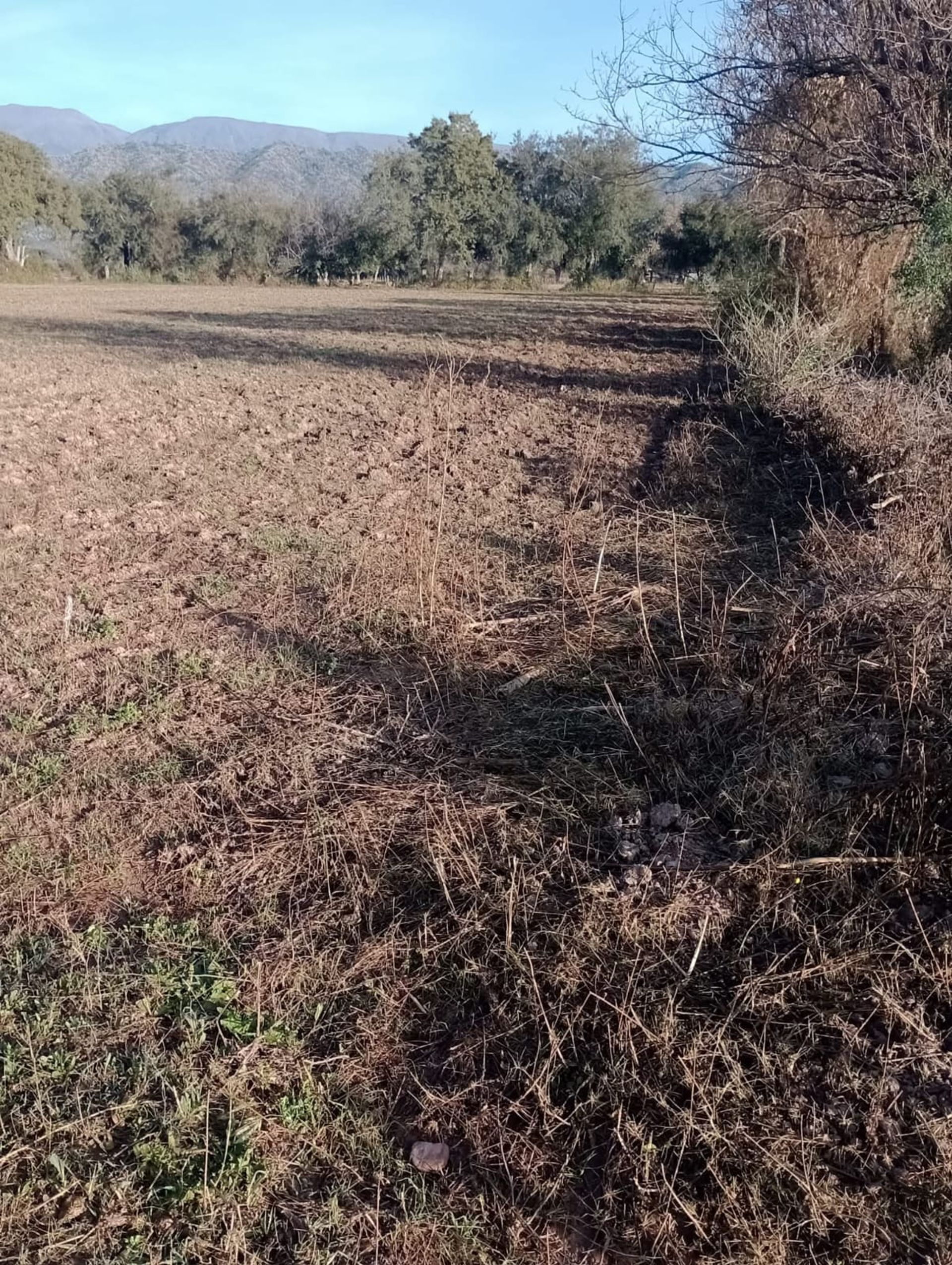 VENTA TERRENO DE 14.615 m2 TALAPAMPA LA VIÑA - foto 2
