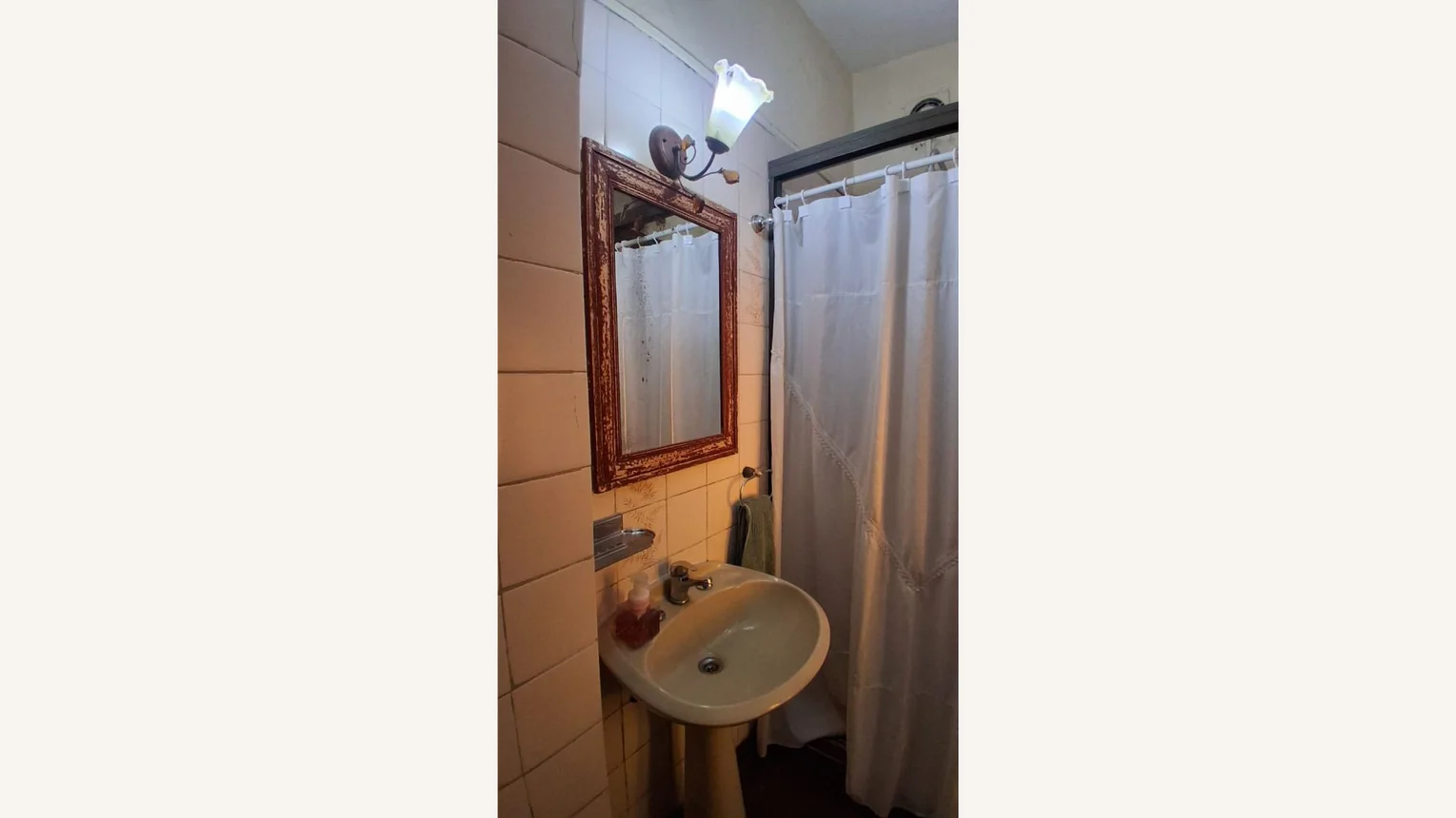 Casa de 6 ambientes en venta en Floresta, Alejandro Magariños Cervantes 4200, foto 5