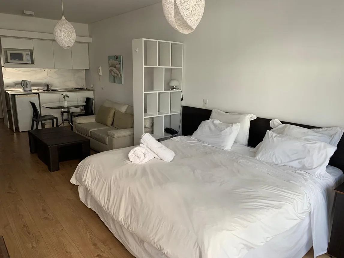 Venta departamento monoambiente en palermo, foto 1