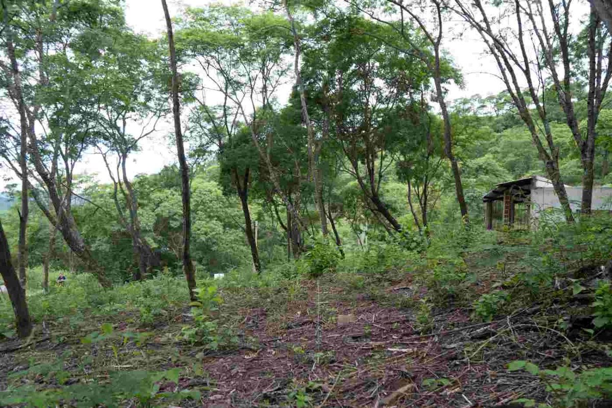 TERRENO VENTA LA MISION III 1382M2 LA CALDERA - foto 3