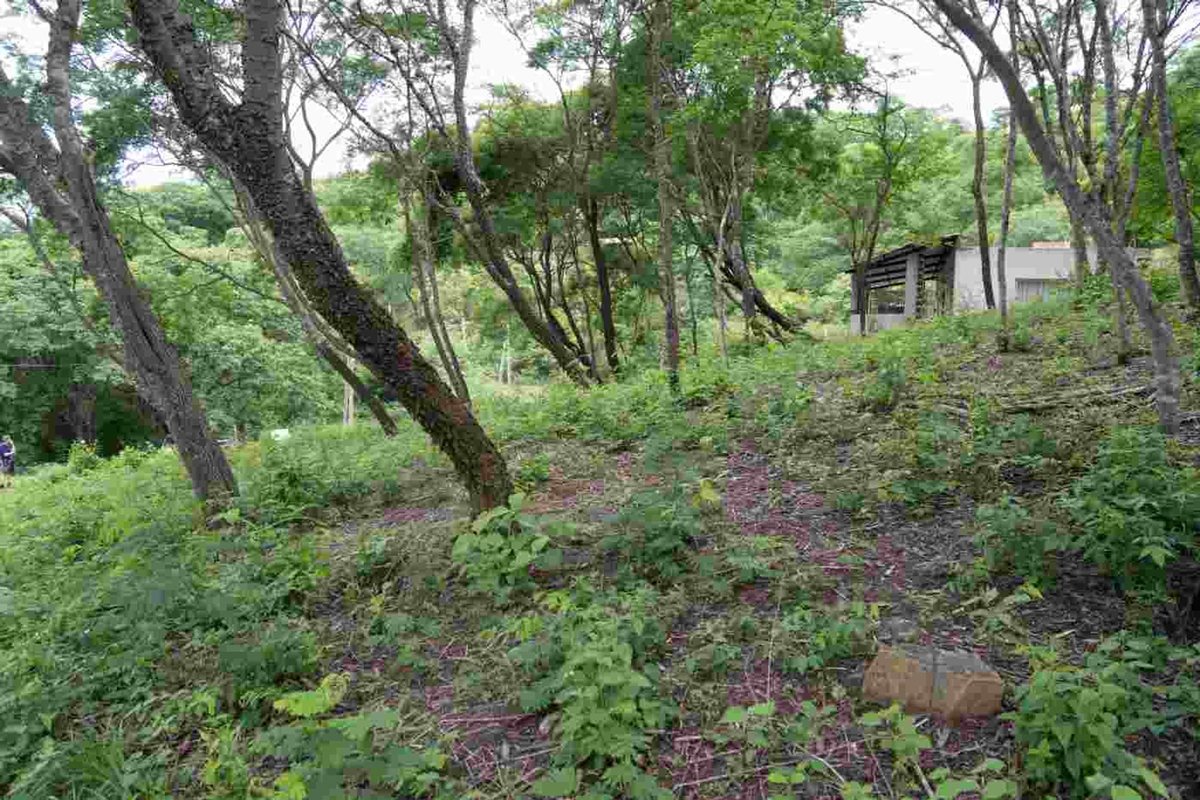 TERRENO VENTA LA MISION III 1382M2 LA CALDERA - foto 2