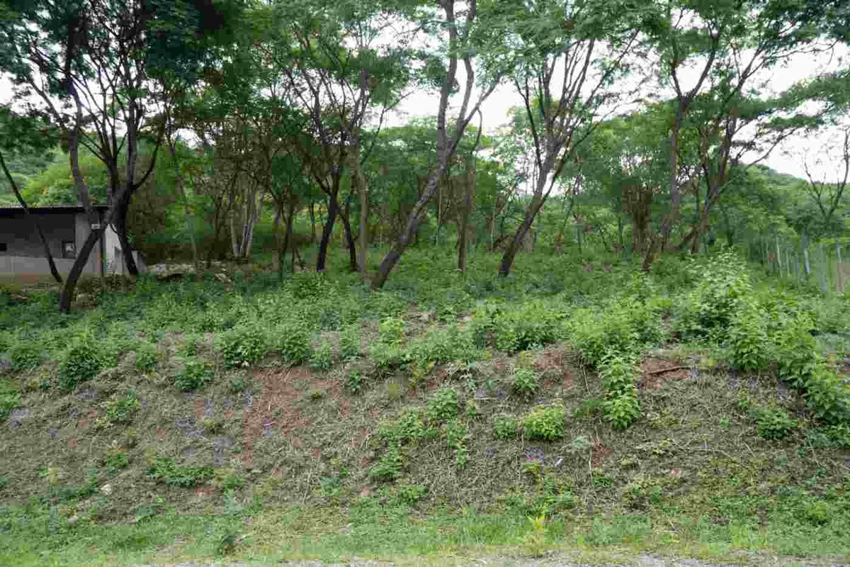 TERRENO VENTA LA MISION III 1382M2 LA CALDERA - foto 4
