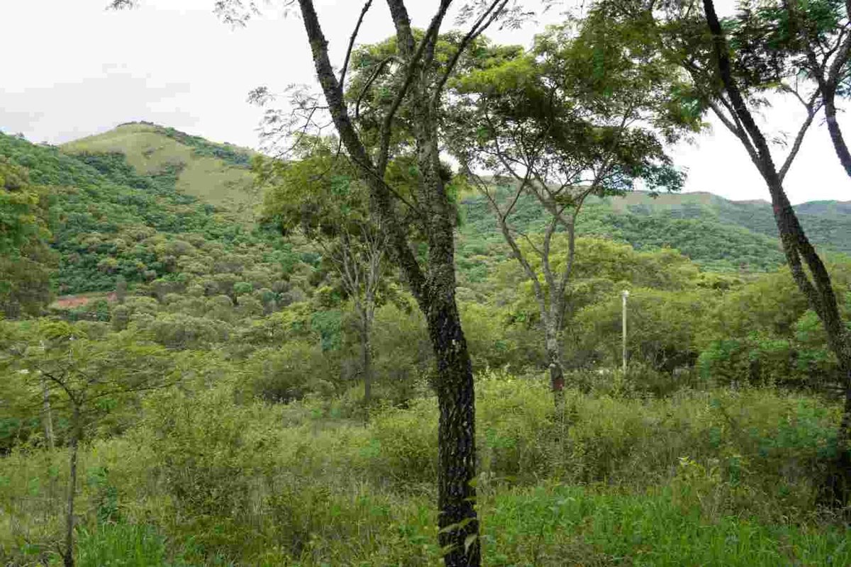 TERRENO VENTA LA MISION III 1382M2 LA CALDERA - foto 8