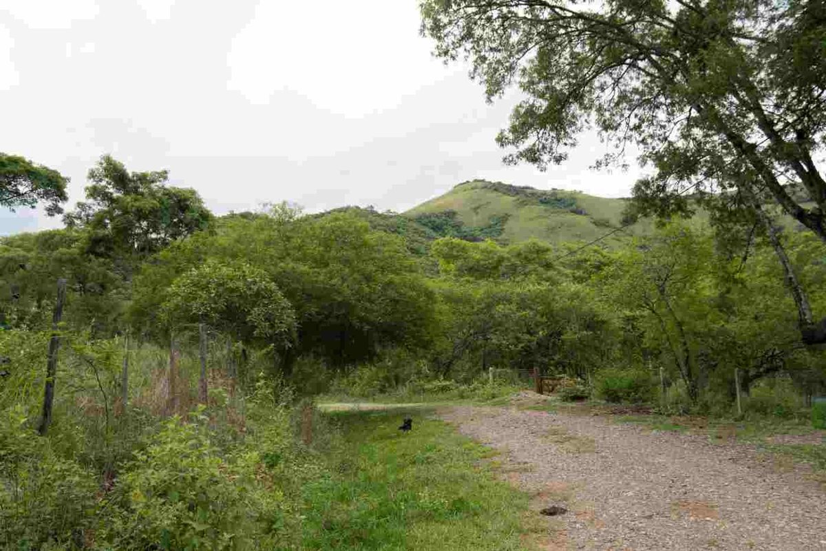 TERRENO VENTA LA MISION III 1382M2 LA CALDERA - foto 6