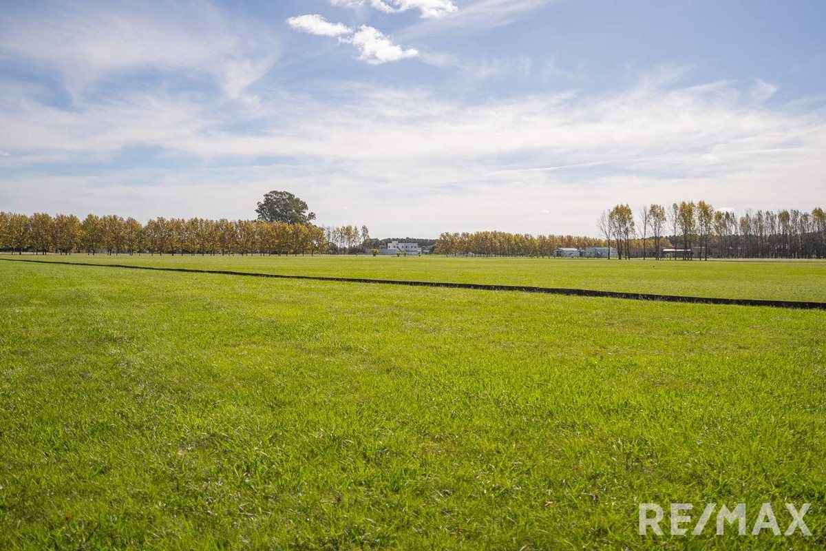 Foto 9 — VENTA LOTE 1ha ESTANCIA LA MACARENA CHACRA CAPILLA