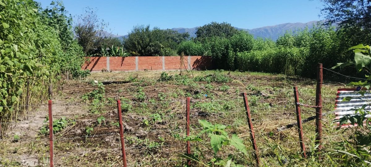 TERRENO EN VENTA EN VILLA LOLA LA SILLETA 800 M2 - foto 4