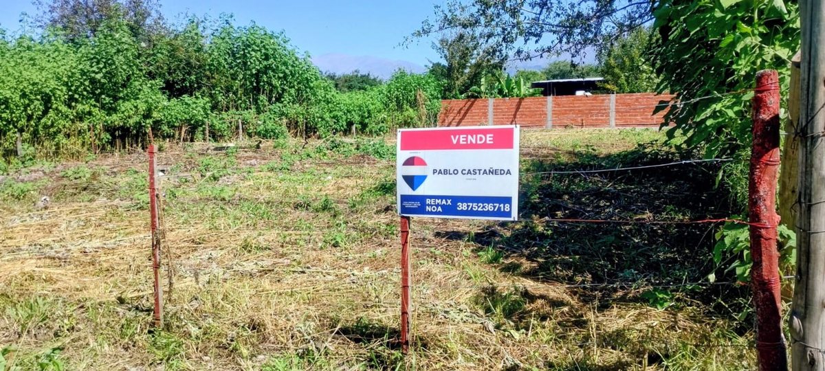 TERRENO EN VENTA EN VILLA LOLA LA SILLETA 800 M2 - foto 3