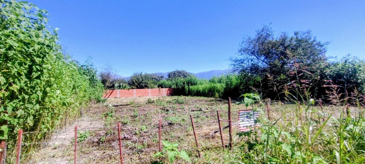 TERRENO EN VENTA EN VILLA LOLA LA SILLETA 800 M2 - foto 5