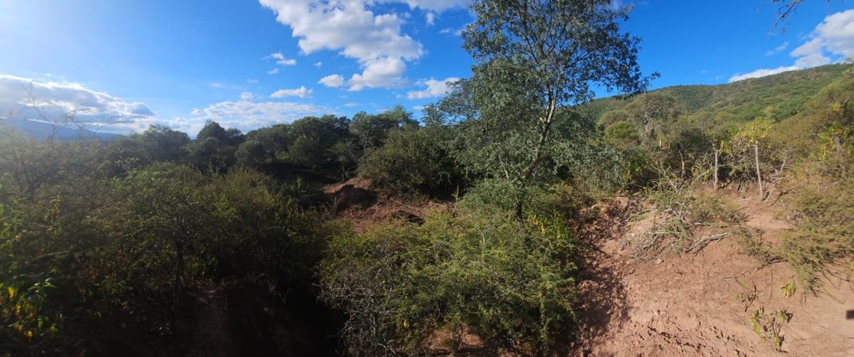TERRENO EN VENTA SALADILLO DIQUE CABRA CORRAL - foto 12