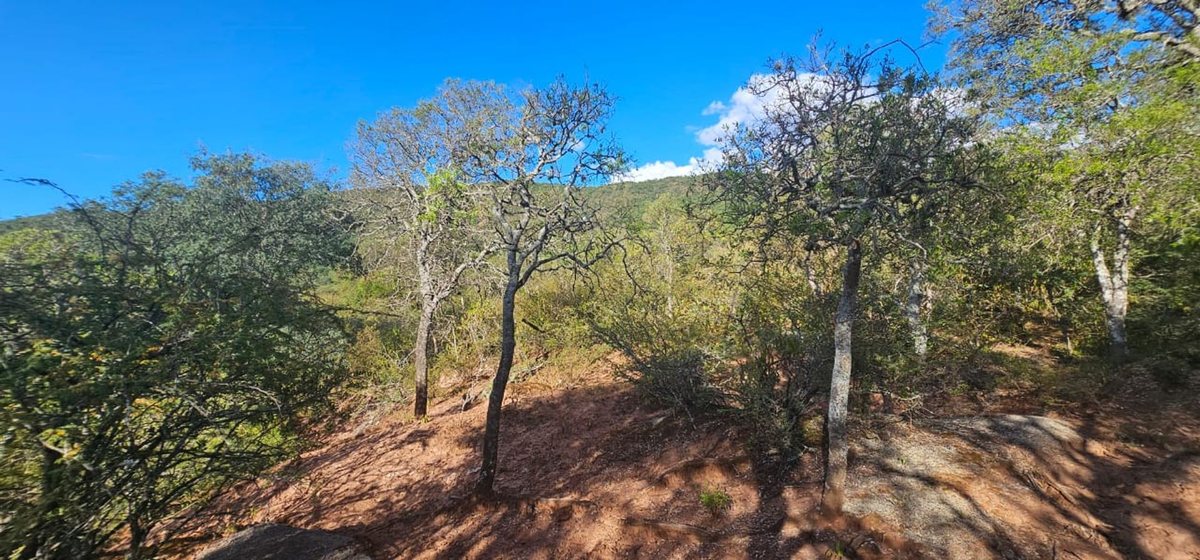 TERRENO EN VENTA SALADILLO DIQUE CABRA CORRAL - foto 6