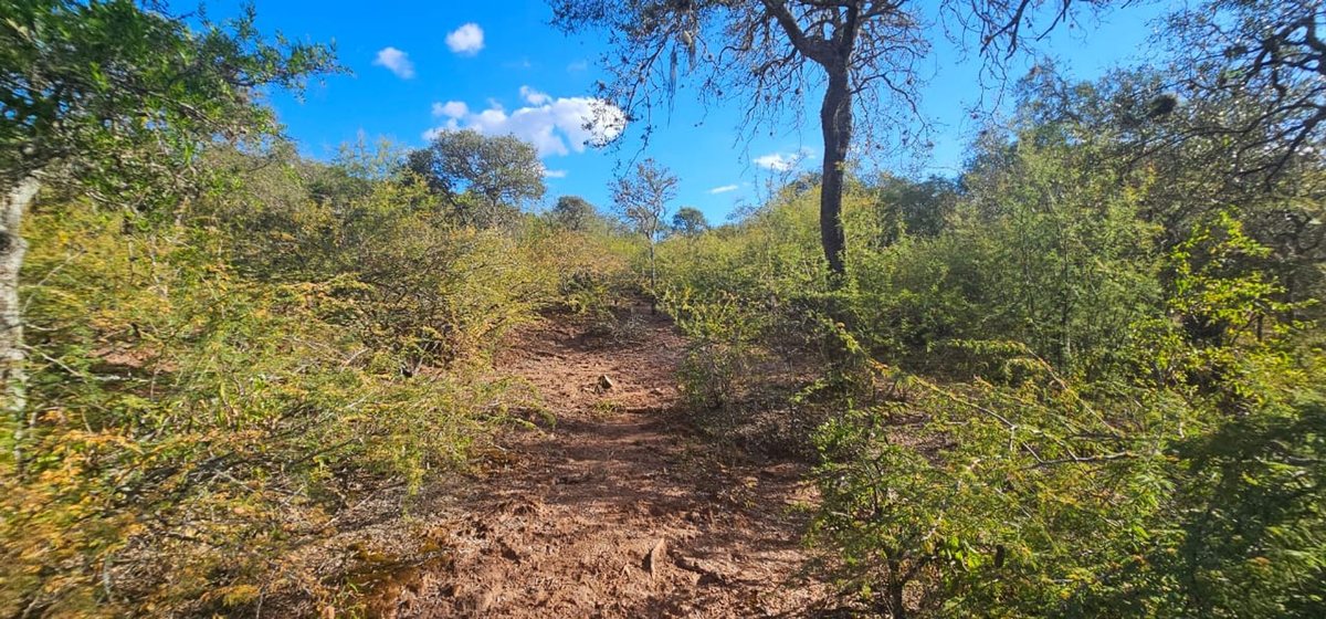 TERRENO EN VENTA SALADILLO DIQUE CABRA CORRAL - foto 11