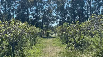 Venta de Lote/Terreno en Baradero