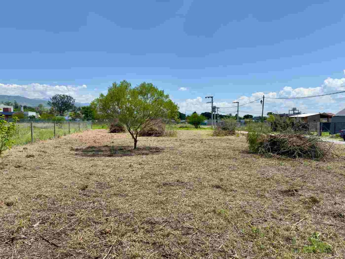 VENTA TERRENO SOLARES DE ORTIZ LA SILLETA 715 M2 - foto 2
