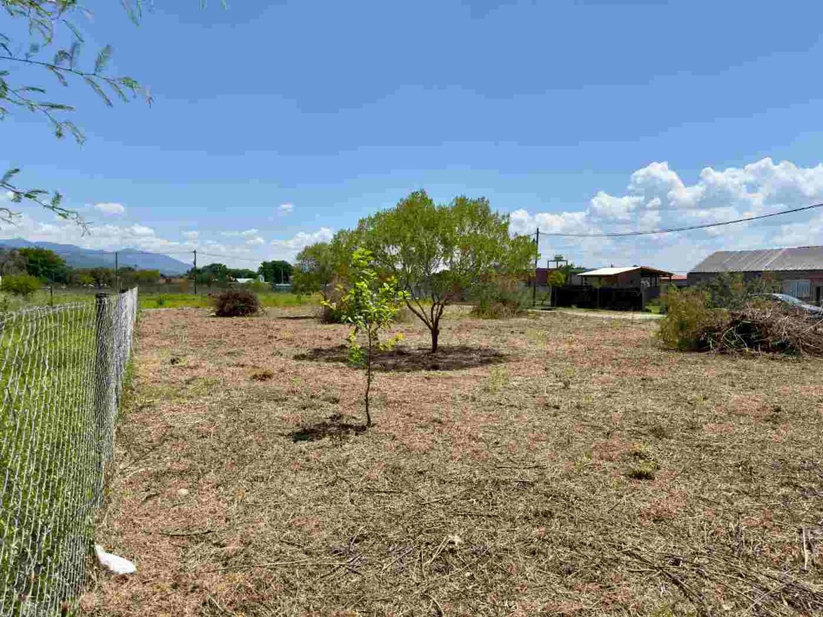 VENTA TERRENO SOLARES DE ORTIZ LA SILLETA 715 M2 - foto 3