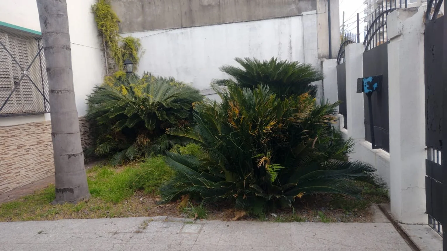 Casa de 5 ambientes en venta en Wilde, Doctor Antonio Caviglia 0, foto 5