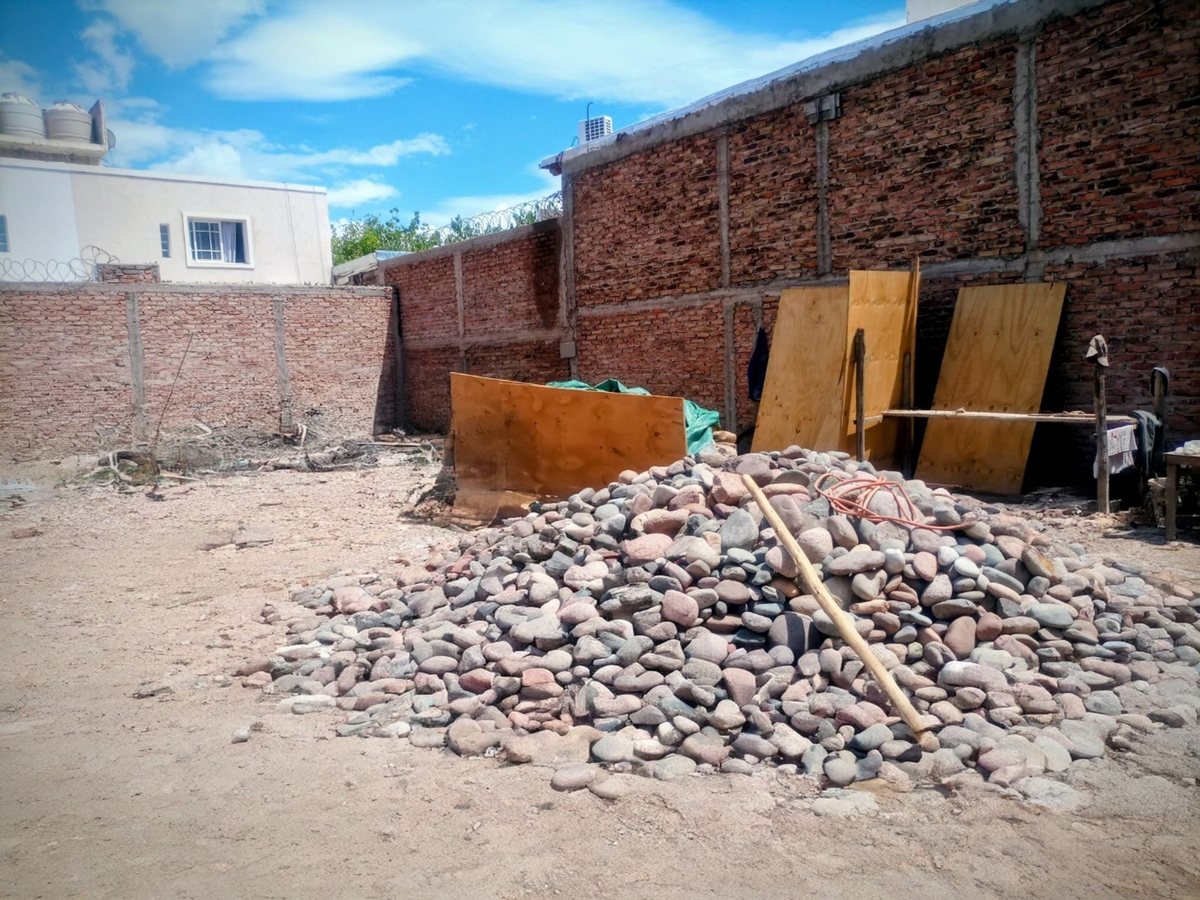 Imagen 5