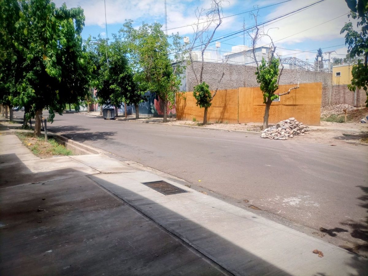 Imagen 7