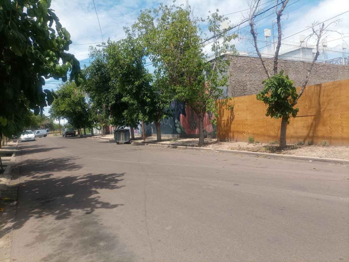 Imagen 2