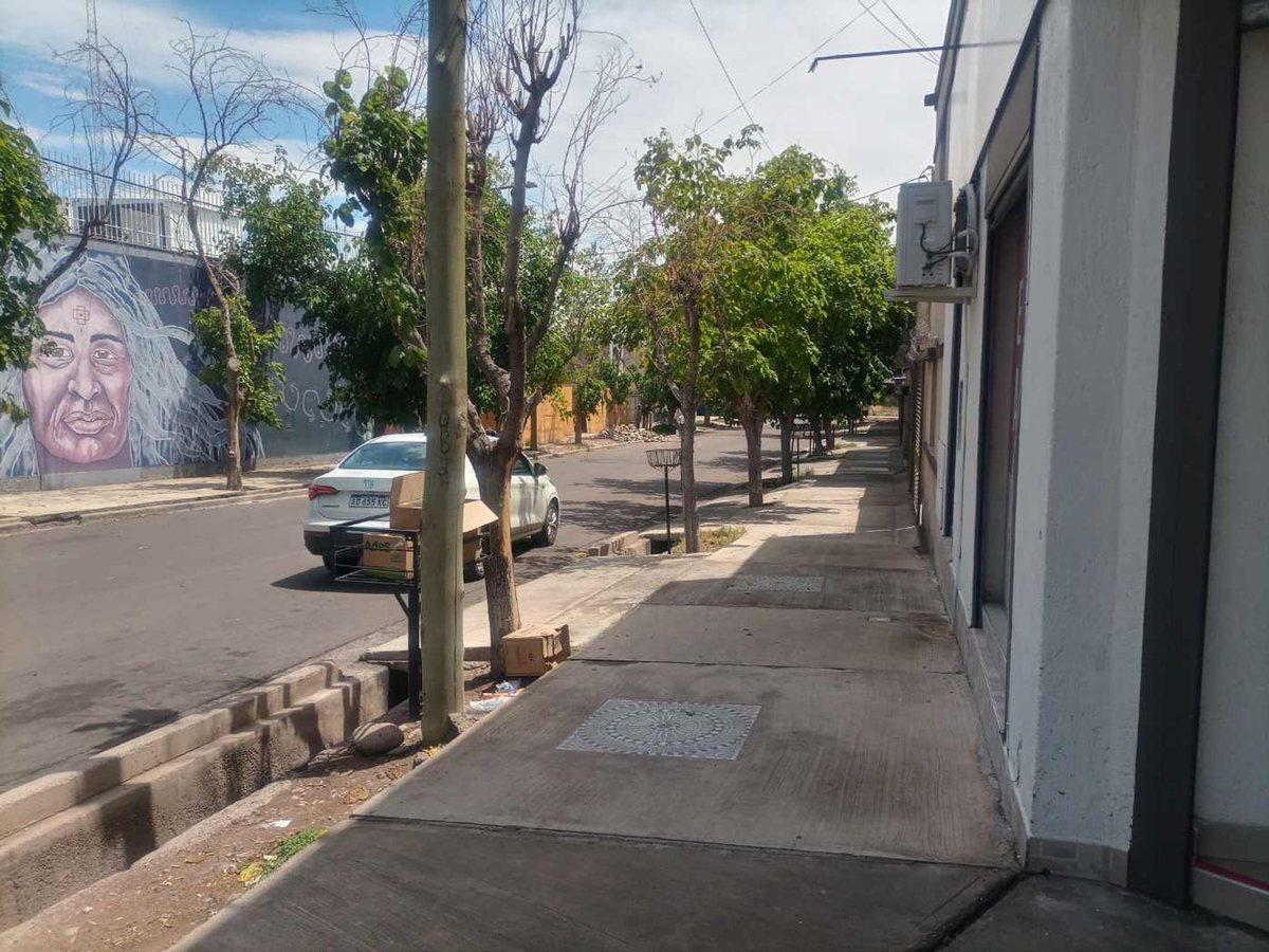Imagen 9