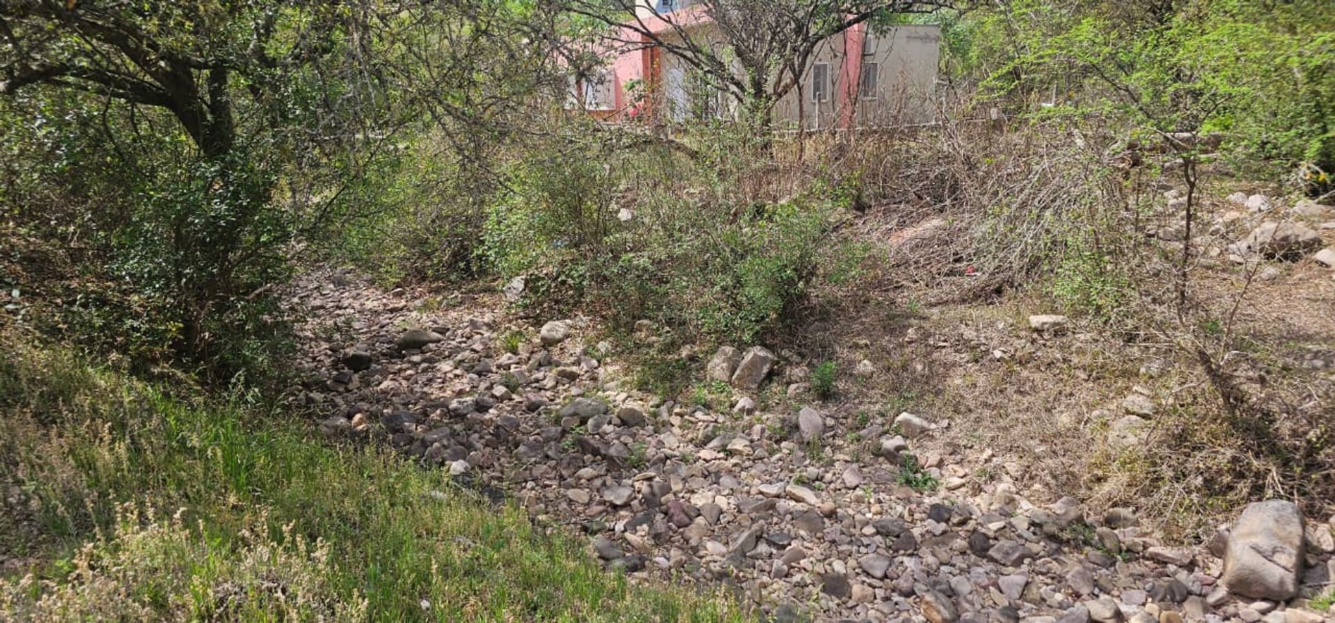 VENTA TERRENO DE 2600M2 EN SAN ROQUE LA CALDERILLA - foto 4