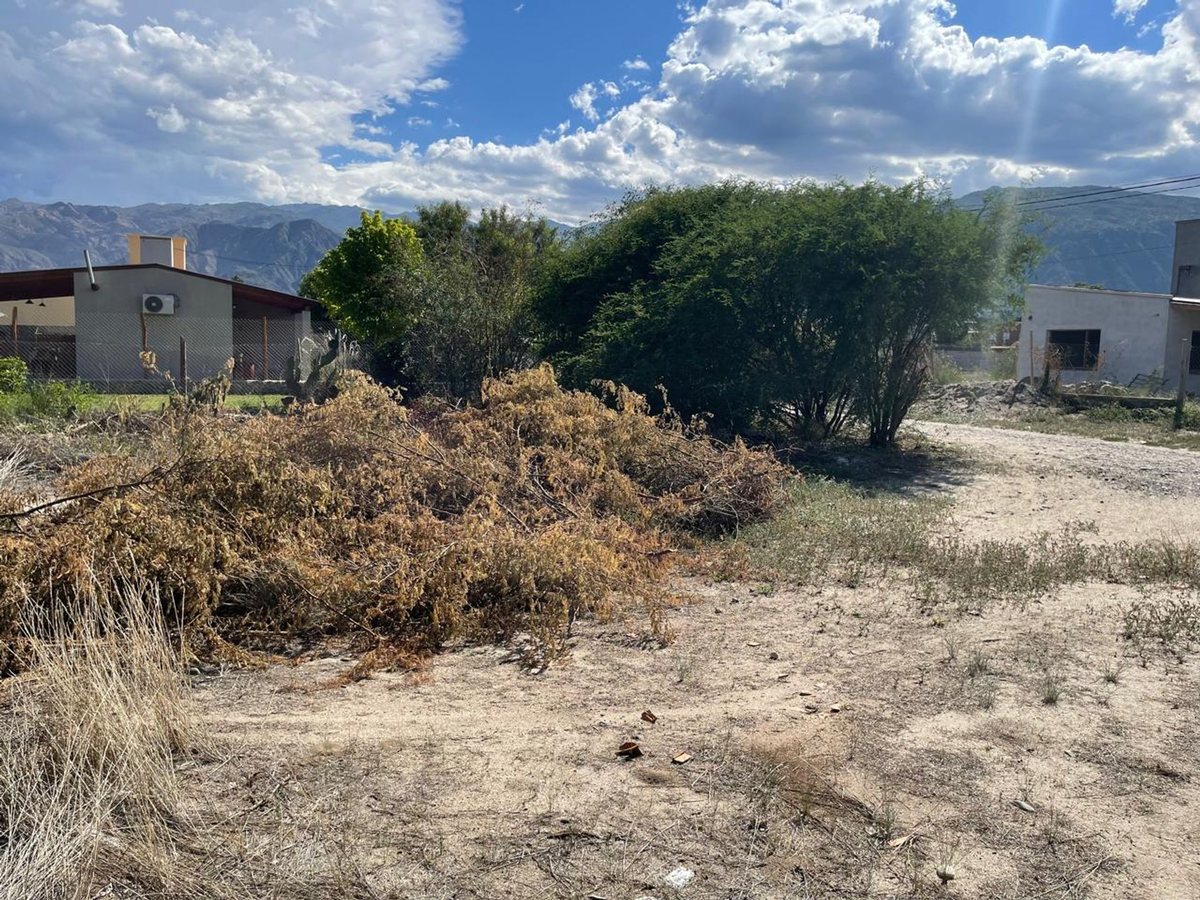 TERRENO EN VENTA WINE VILLAGE CAFAYATE - foto 3