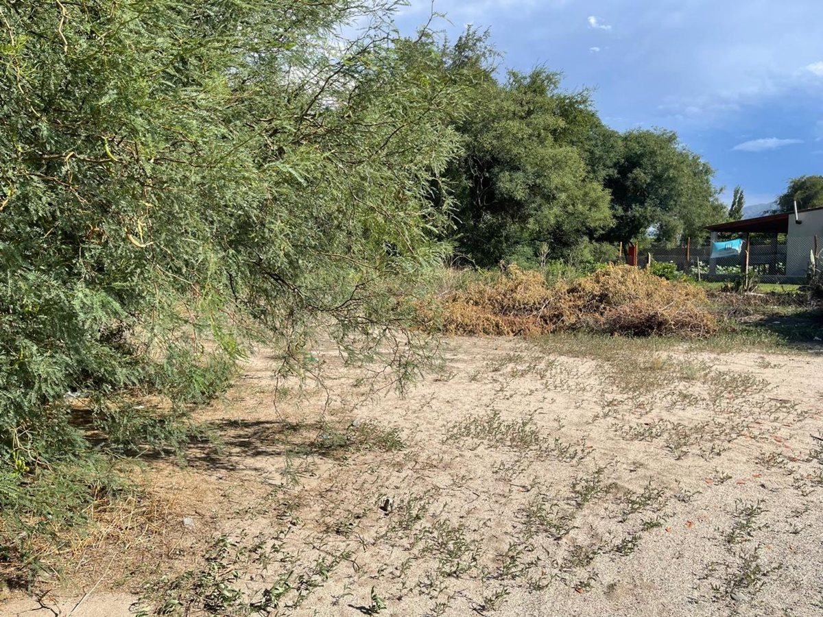 TERRENO EN VENTA WINE VILLAGE CAFAYATE - foto 7