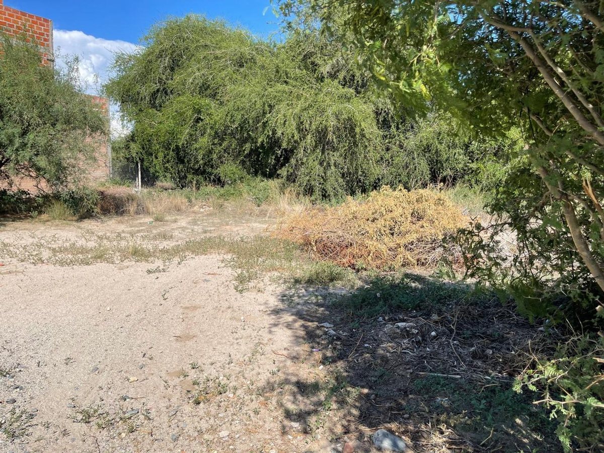 TERRENO EN VENTA WINE VILLAGE CAFAYATE - foto 6