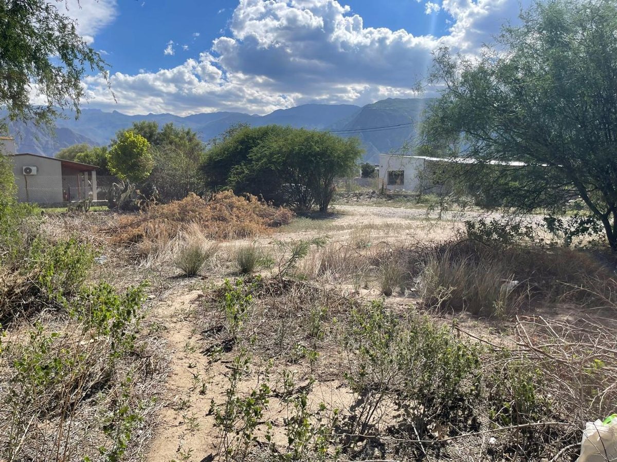 TERRENO EN VENTA WINE VILLAGE CAFAYATE - foto 4