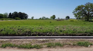 Terreno en venta · Barrio Caima