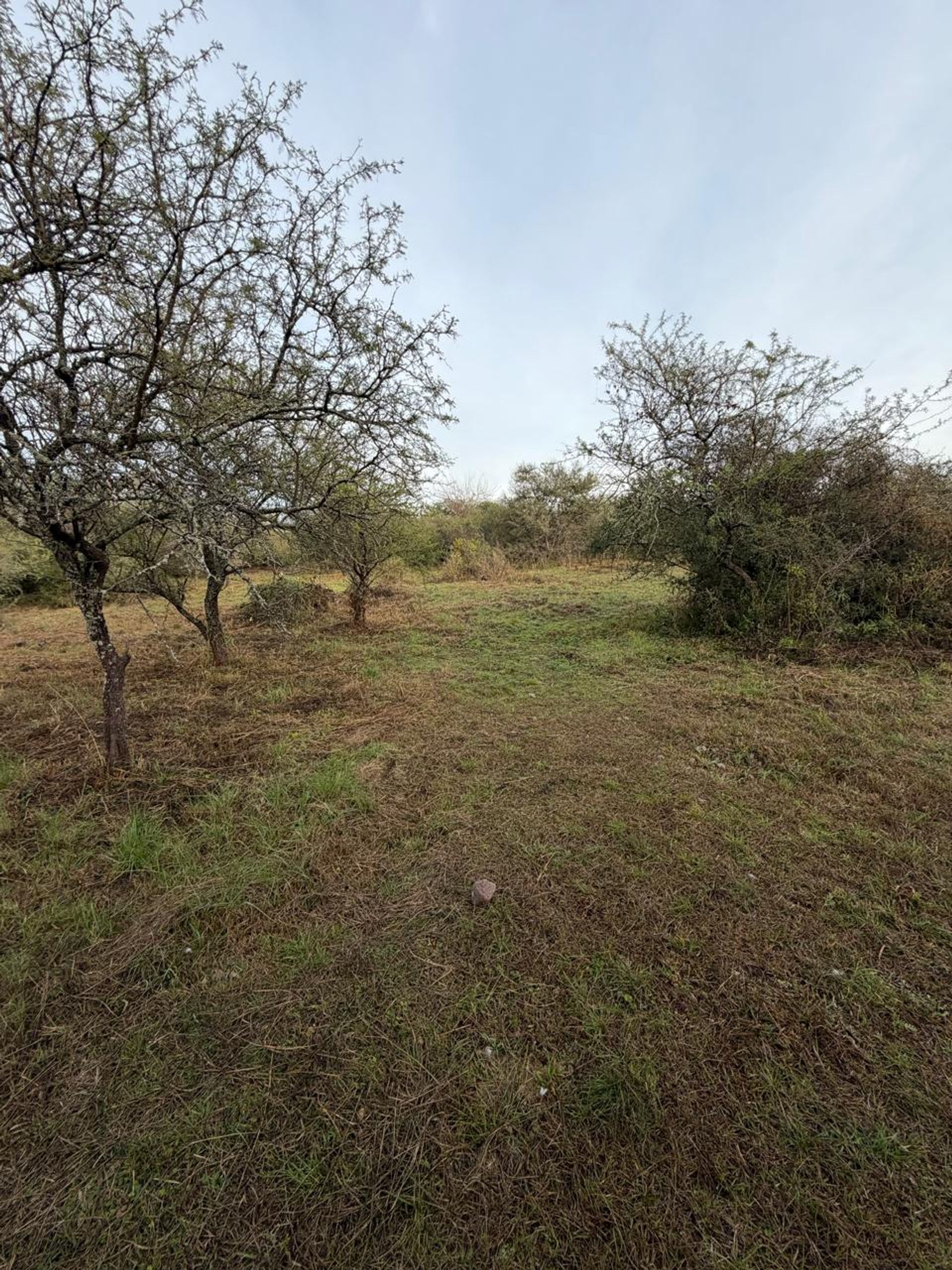 Foto 11 — LOTE EN VENTA MENDIOLAZA GOLF CORDOBA
