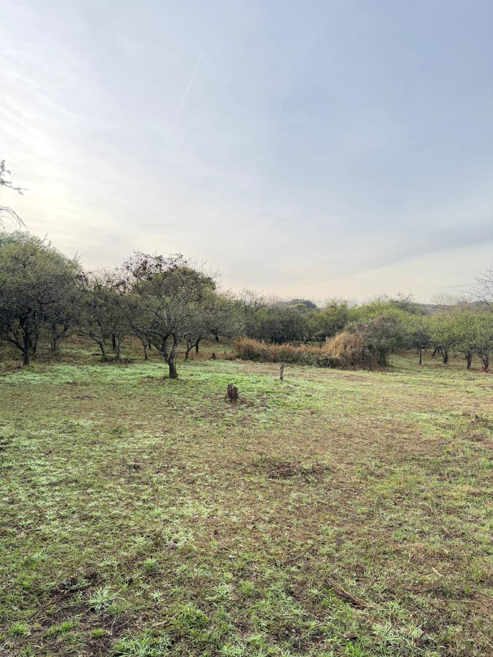 Foto 6 — LOTE EN VENTA MENDIOLAZA GOLF CORDOBA