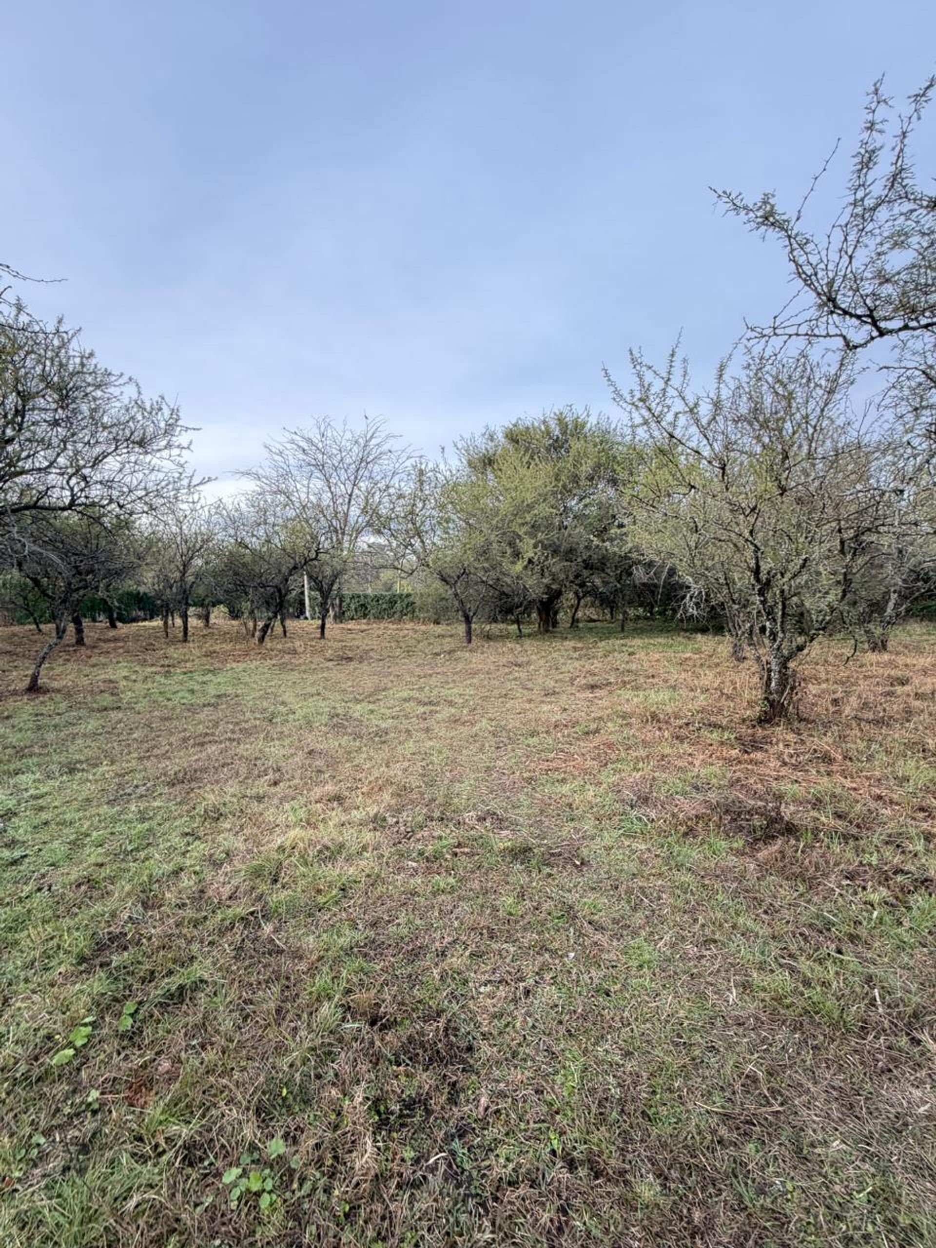 Foto 10 — LOTE EN VENTA MENDIOLAZA GOLF CORDOBA