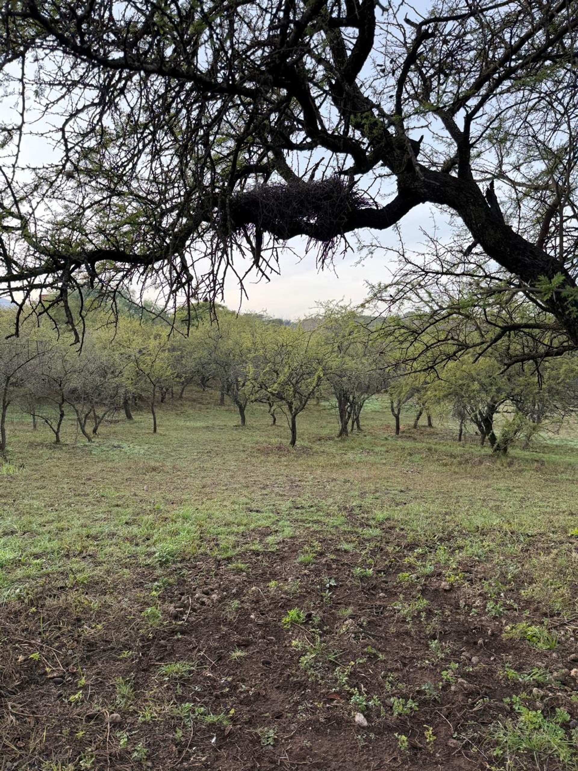 Foto 5 — LOTE EN VENTA MENDIOLAZA GOLF CORDOBA