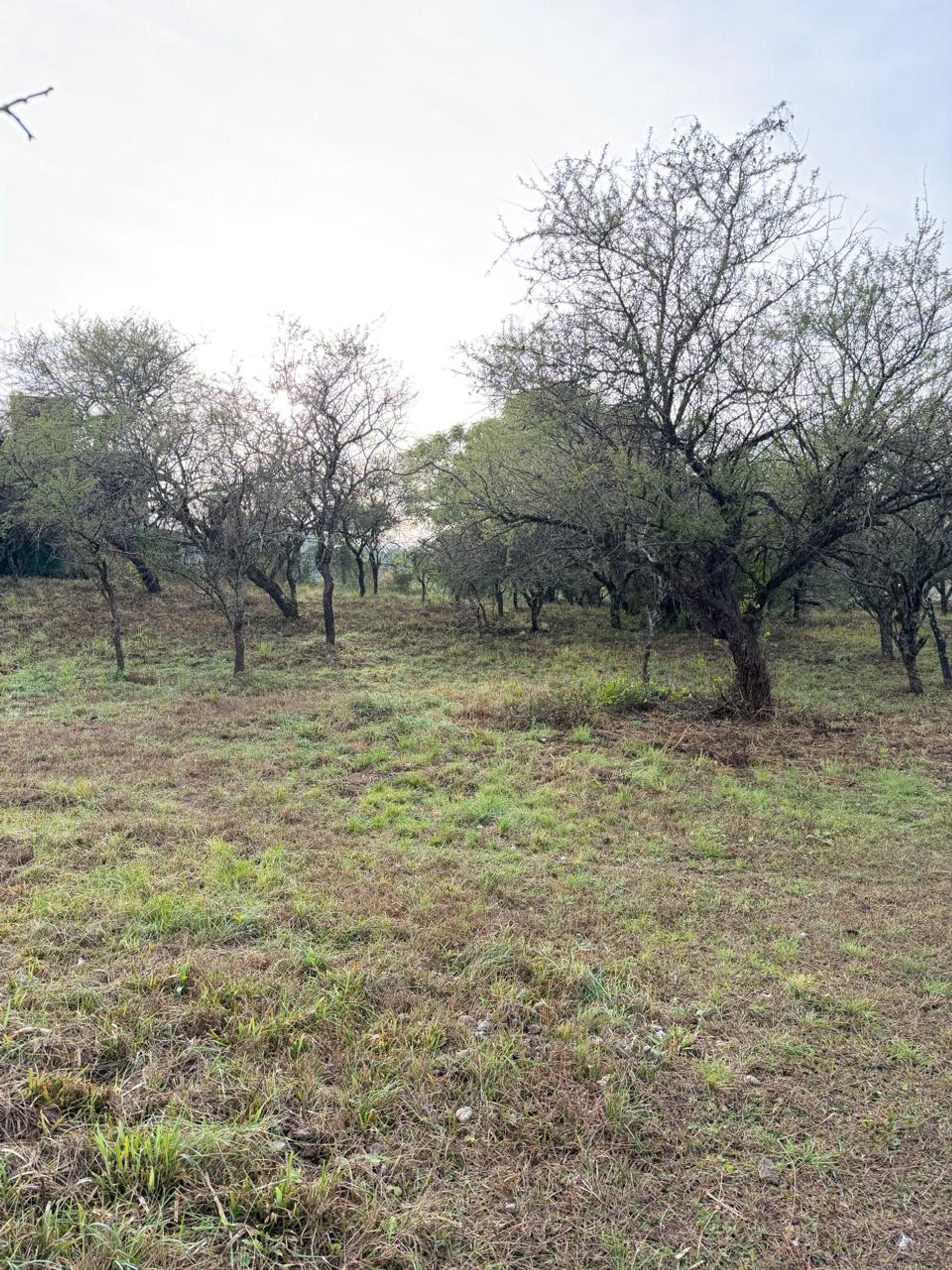 Foto 9 — LOTE EN VENTA MENDIOLAZA GOLF CORDOBA