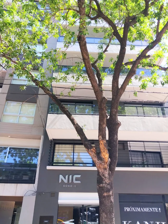 Departamento en alquiler en Palermo, foto 5
