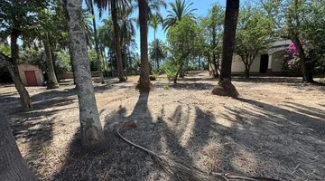 RE/MAX NOA II COMERCIALIZA CASONA EL REMATE -8595M