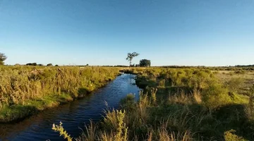 Venta de campo 22 Ha. en Ruta 11 paraje El Talita