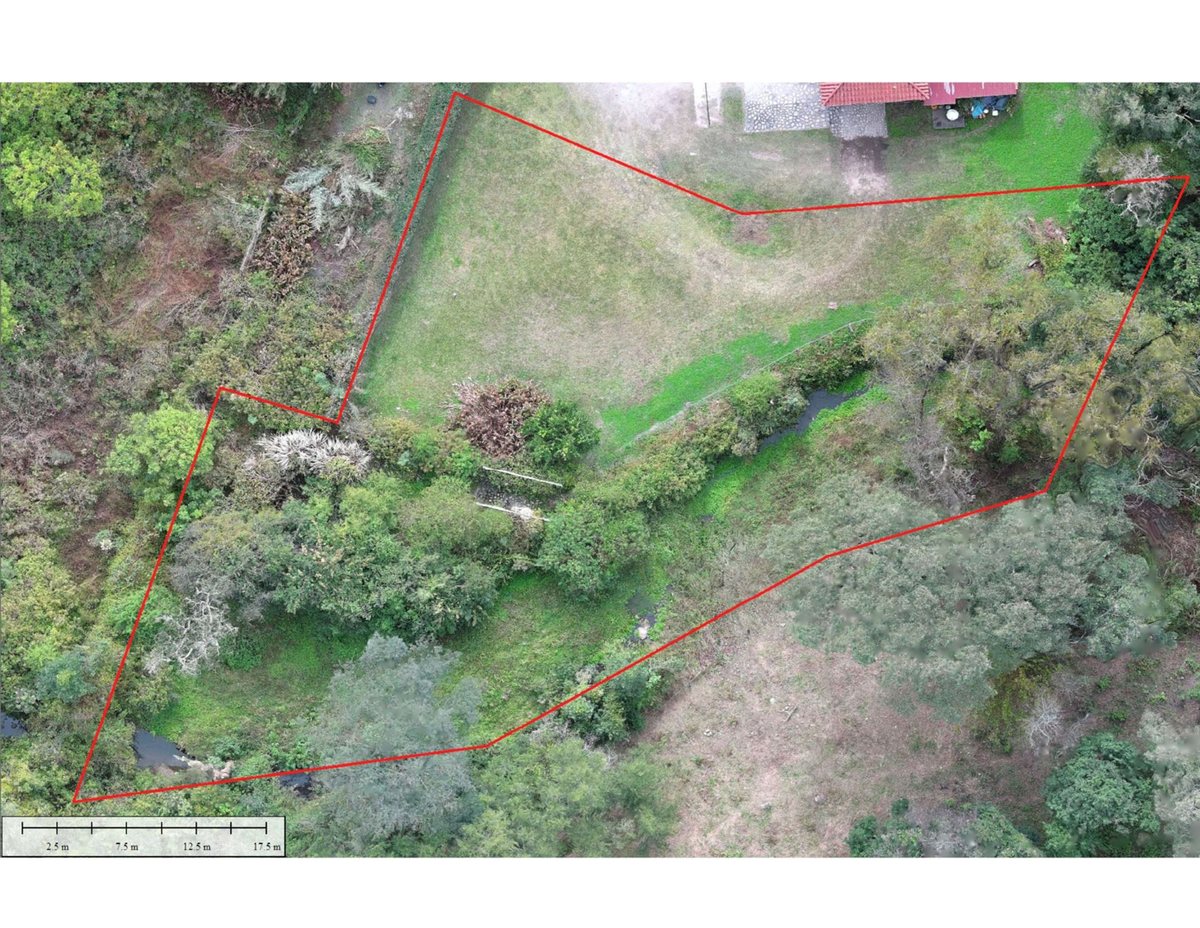 TERRENO VENTA SAN LORENZO 1894m2 - foto 9