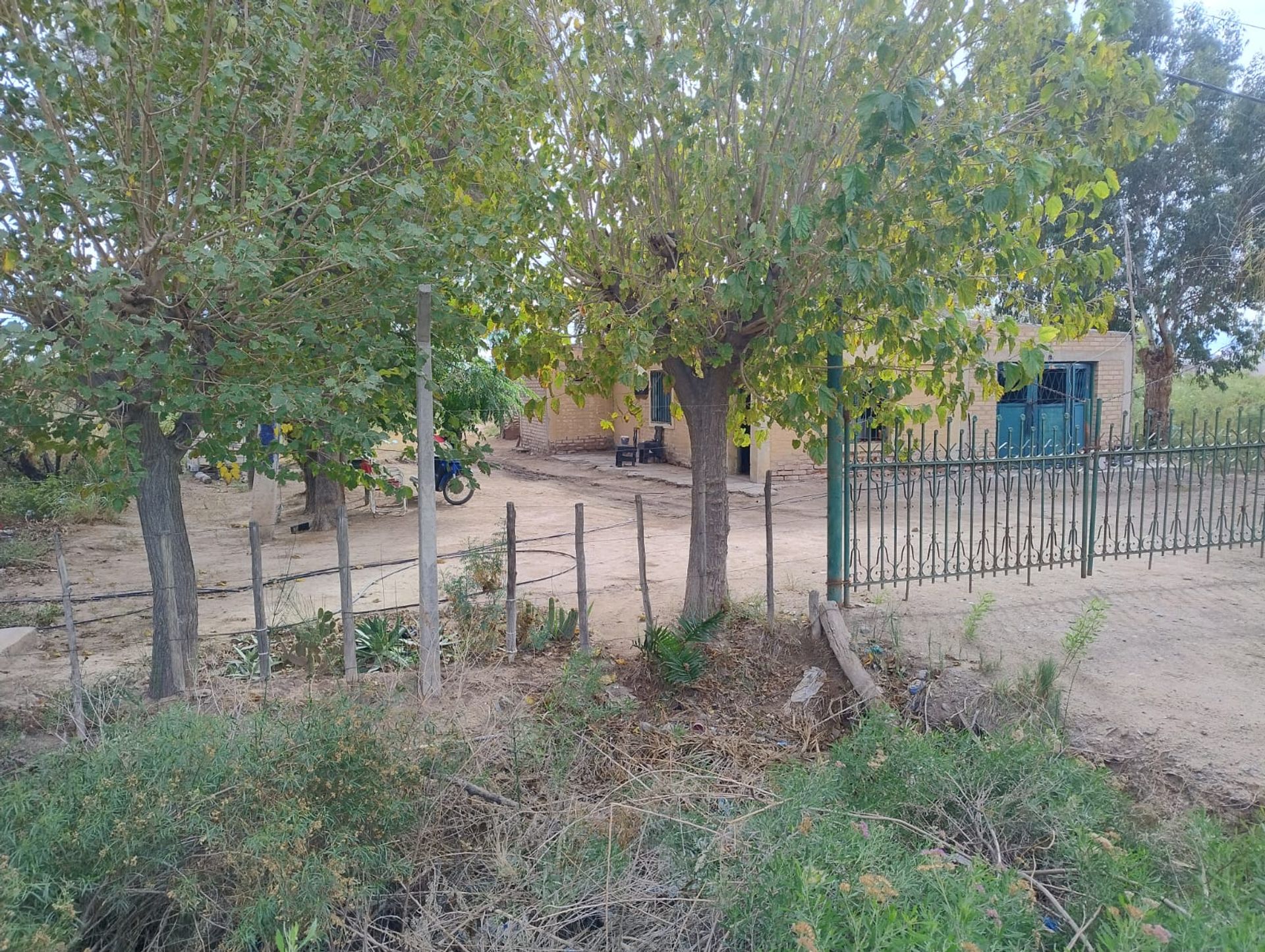 Imagen 46