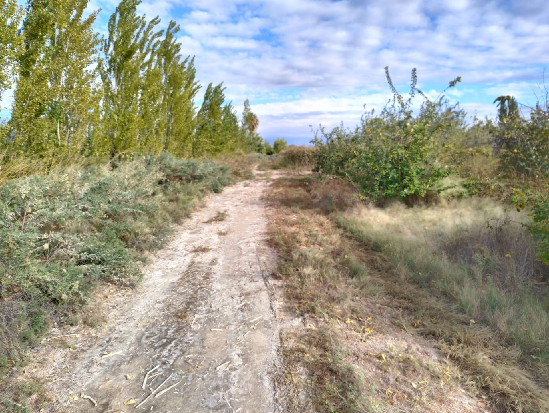 Imagen 31